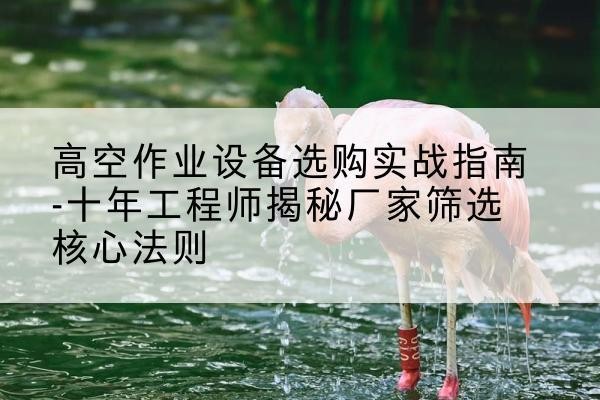 怀宁剪叉式升降机厂家-高空作业设备选购实战指南-十年工程师揭秘厂家筛选核心法则