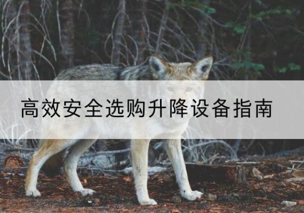 怀宁升降货梯厂家推荐-*安全选购升降设备指南