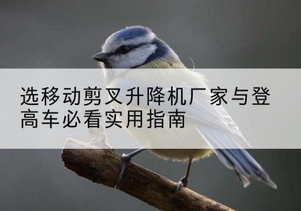怀宁电动升降机厂家-选移动剪叉升降机厂家与登高车必看实用指南