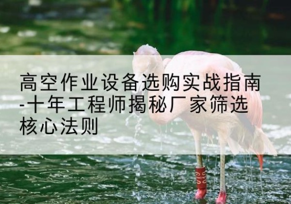怀宁剪叉式升降机厂家-高空作业设备选购实战指南-十年工程师揭秘厂家筛选核心法则